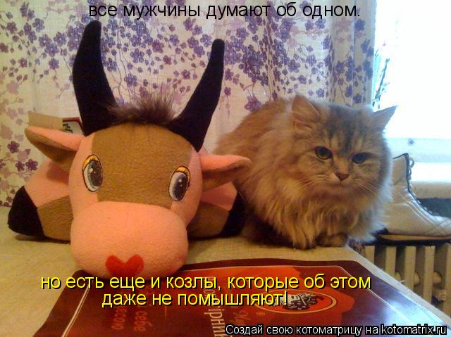 все мужчины думают об одном. но есть еще и козлы, которые об этом даже не помышляют!... Котоматрица: все мужчины думают об одном. но есть еще и козлы, которые об этом даже не помышляют!