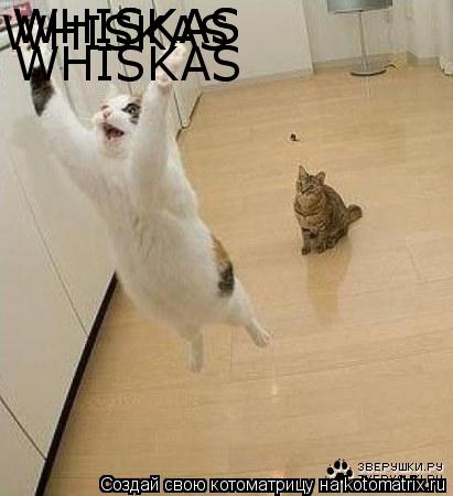 WHISKAS WHISKAS WHISKAS WHISKAS... Котоматрица: WHISKAS WHISKAS WHISKAS WHISKAS