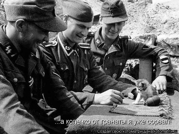 ...а колечко от гранаты я уже сорвал!... Котоматрица: ...а колечко от гранаты я уже сорвал!