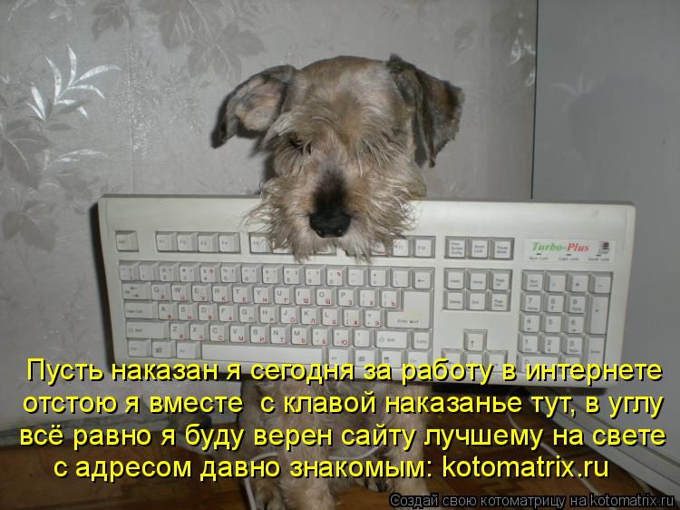 отстою я вместе с клавой наказанье тут, в углу Пусть наказан я сегодня за работу в интернете всё рав... Котоматрица: отстою я вместе с клавой наказанье тут, в углу Пусть наказан я сегодня за работу в интернете всё равно я буду верен сайту лучшему на свете с