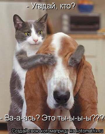 - Угадай, кто? - Ва-а-ась? Это ты-ы-ы-ы???... Котоматрица: - Угадай, кто? - Ва-а-ась? Это ты-ы-ы-ы???