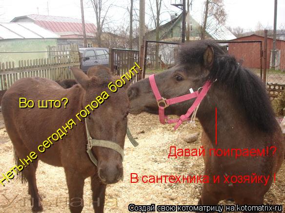 Котоматрица: _____ Давай поиграем!? Во што? В сантехника и хозяйку ! Неть!не сегодня голова болит!