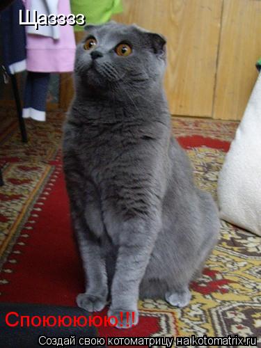 Щазззз Споююююю!!!... Котоматрица: Щазззз Споююююю!!!