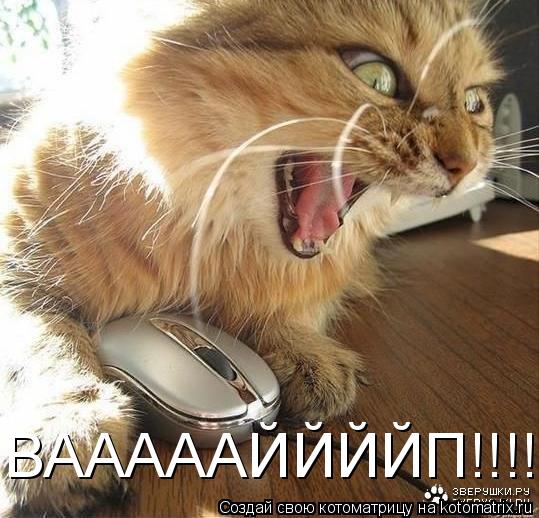 ВАААААЙЙЙЙП!!!!!!... Котоматрица: ВАААААЙЙЙЙП!!!!!!