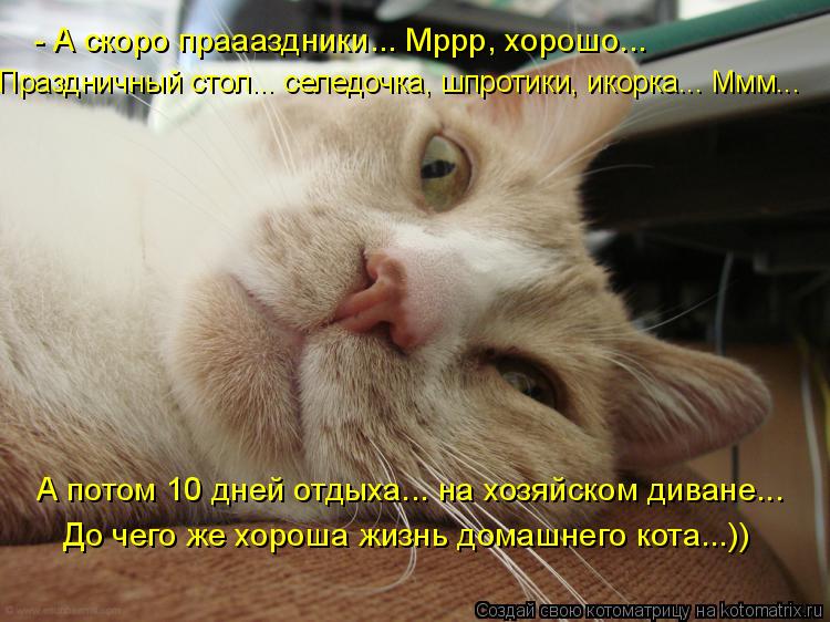 - А скоро праааздники... Мррр, хорошо... Праздничный стол... селедочка, шпротики, икорка... Ммм... А ... Котоматрица: - А скоро праааздники... Мррр, хорошо... Праздничный стол... селедочка, шпротики, икорка... Ммм... А потом 10 дней отдыха... на хозяйском диване... До