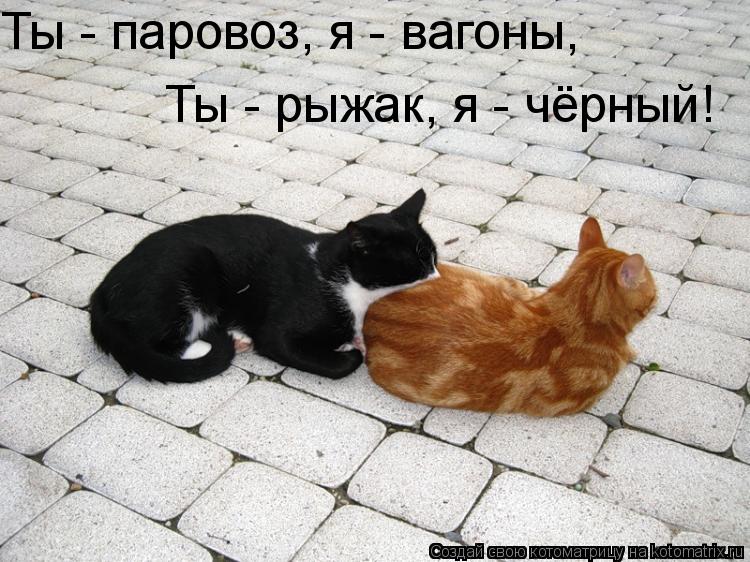 Котоматрица: Ты - паровоз, я - вагоны, Ты - рыжак, я - чёрный!