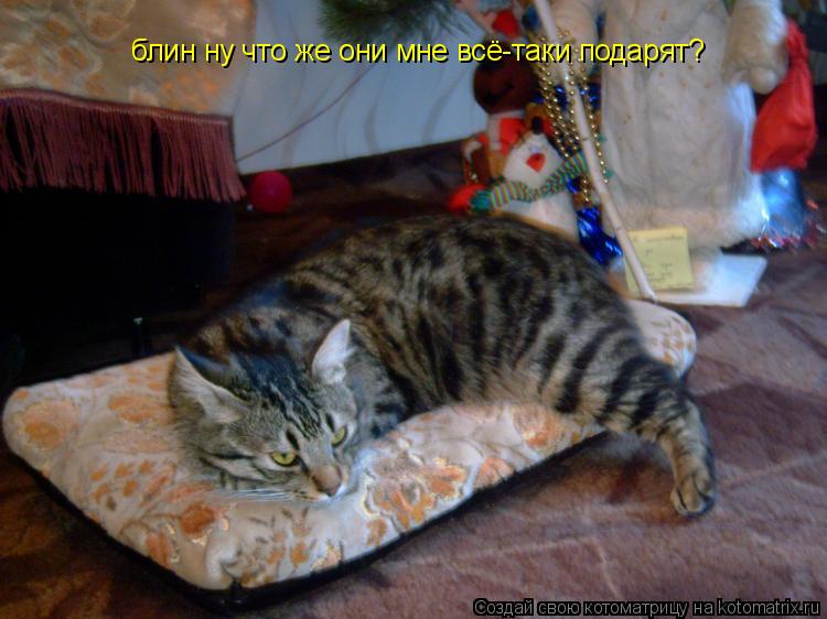блин ну что же они мне всё-таки подарят?... Котоматрица: блин ну что же они мне всё-таки подарят?