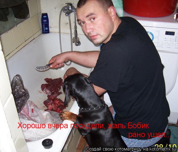 Хорошо вчера посидели, жаль Бобик рано ушел...... Котоматрица: Хорошо вчера посидели, жаль Бобик рано ушел...