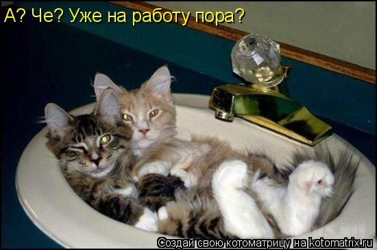 А? Че? Уже на работу пора?... Котоматрица: А? Че? Уже на работу пора?