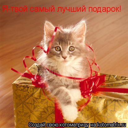 Я-твой самый лучший подарок!... Котоматрица: Я-твой самый лучший подарок!