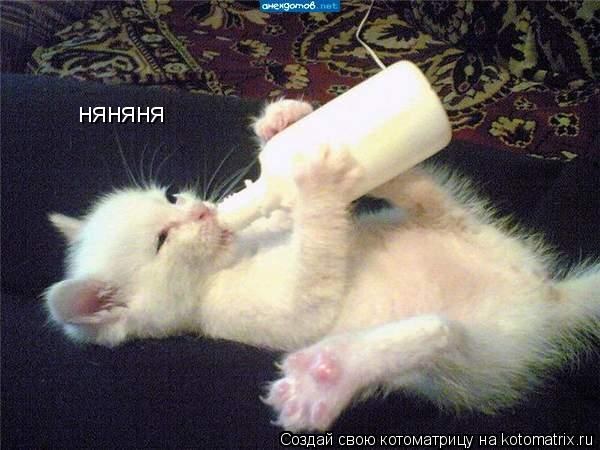 няняня... Котоматрица: няняня