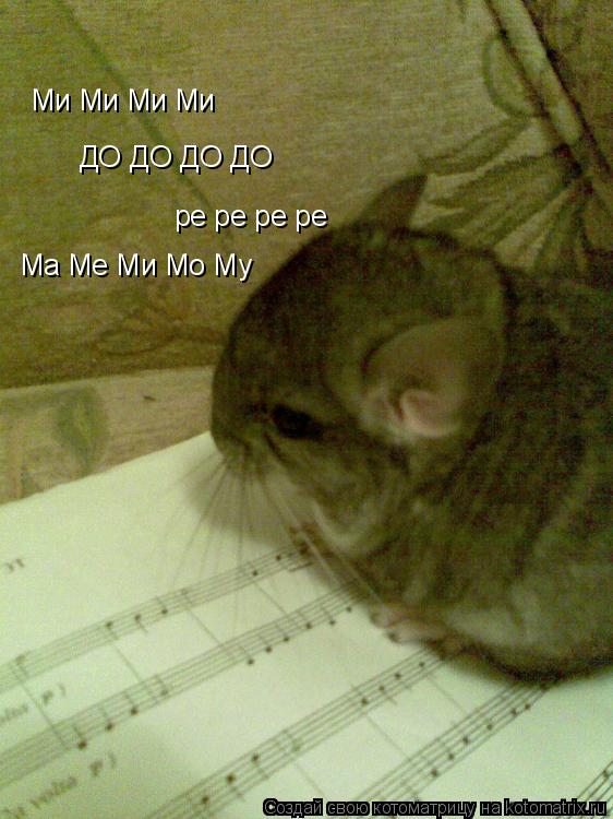 Котоматрица: Ми Ми Ми Ми ДО ДО ДО ДО Ма Ме Ми Мо Му ре ре ре ре