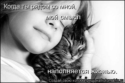 Когда ты рядом со мной, мой смысл наполняется жизнью.... Котоматрица: Когда ты рядом со мной, мой смысл наполняется жизнью.