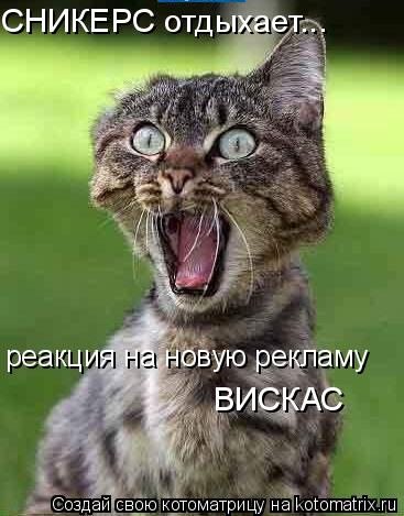 реакция на новую рекламу ВИСКАС СНИКЕРС отдыхает...... Котоматрица: реакция на новую рекламу ВИСКАС СНИКЕРС отдыхает...
