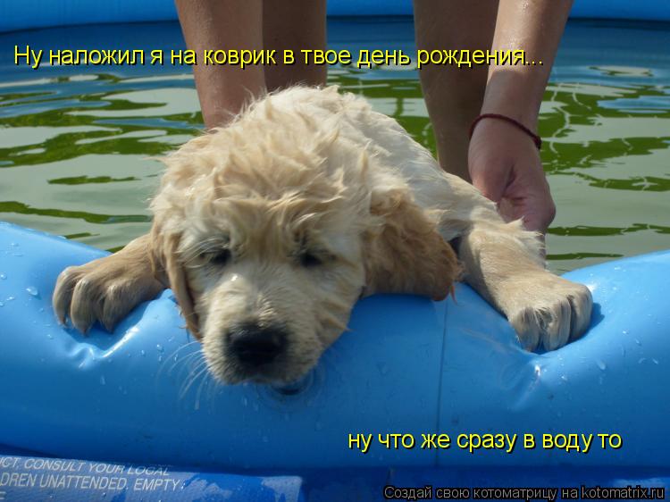 Ну наложил я на коврик в твое день рождения... ну что же сразу в воду то... Котоматрица: Ну наложил я на коврик в твое день рождения... ну что же сразу в воду то