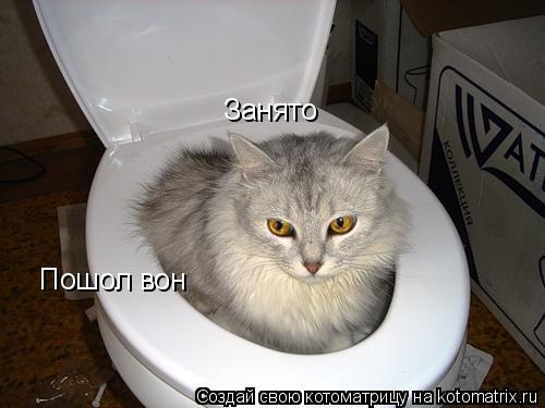 Занято Пошол вон... Котоматрица: Занято Пошол вон