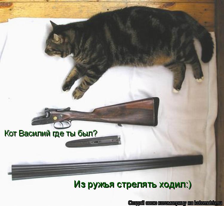 Кот Василий где ты был? Из ружья стрелять ходил:)... Котоматрица: Кот Василий где ты был? Из ружья стрелять ходил:)
