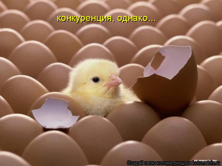 конкуренция, однако...... Котоматрица: конкуренция, однако...