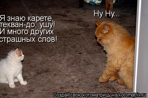 Я знаю карете, И много других страшных слов! текван-до, ушу! Ну Ну...... Котоматрица: Я знаю карете, И много других страшных слов! текван-до, ушу! Ну Ну...