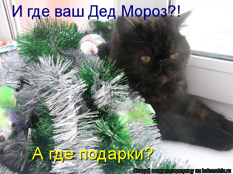 И где ваш Дед Мороз?! А где подарки?... Котоматрица: И где ваш Дед Мороз?! А где подарки?