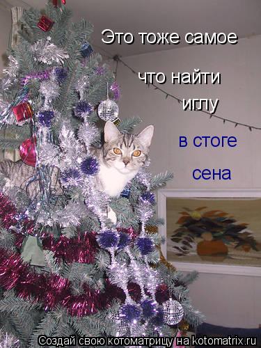 Это тоже самое что найти иглу в стоге сена... Котоматрица: Это тоже самое что найти иглу в стоге сена