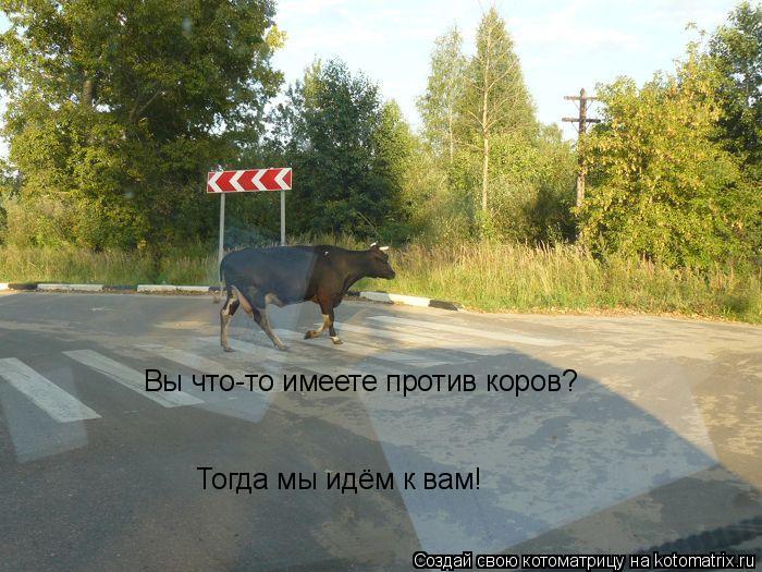 Вы что-то имеете против коров? Тогда мы идём к вам!... Котоматрица: Вы что-то имеете против коров? Тогда мы идём к вам!