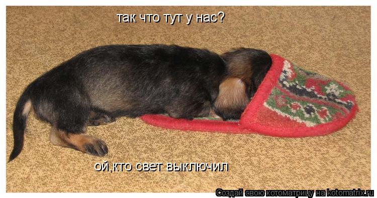 так что тут у нас? ой,кто свет выключил... Котоматрица: так что тут у нас? ой,кто свет выключил