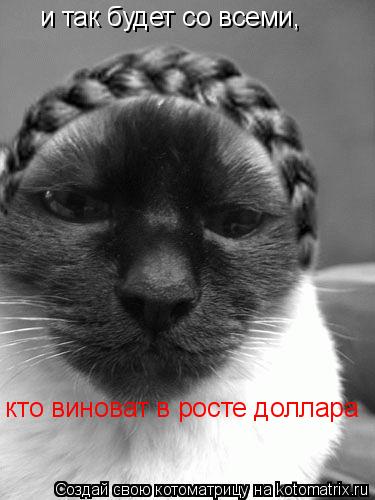 и так будет со всеми, кто виноват в росте доллара... Котоматрица: и так будет со всеми, кто виноват в росте доллара