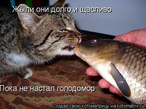 Жыли они долго,и щасливо Жыли они долго,и щасливо Пока не настал голодомор... Котоматрица: Жыли они долго,и щасливо Жыли они долго,и щасливо Пока не настал голодомор