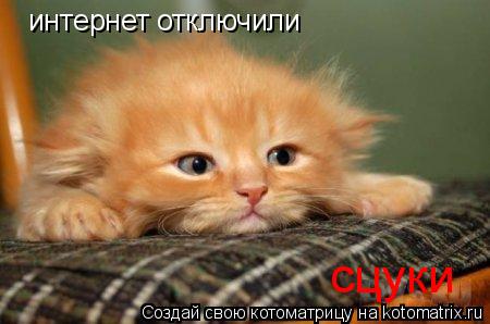 Котоматрица: интернет отключили сцуки