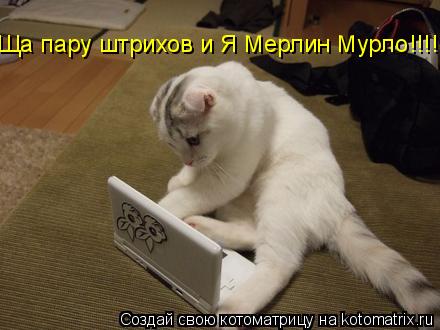 Котоматрица: Ща пару штрихов и Я Мерлин Мурло!!!!
