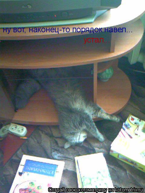 ну вот, наконец-то порядок навел... устал...... Котоматрица: ну вот, наконец-то порядок навел... устал...
