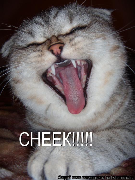СНЕЕК!!!!!... Котоматрица: СНЕЕК!!!!!