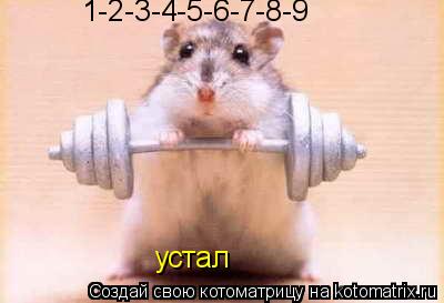 1-2-3-4-5-6-7-8-9 устал... Котоматрица: 1-2-3-4-5-6-7-8-9 устал