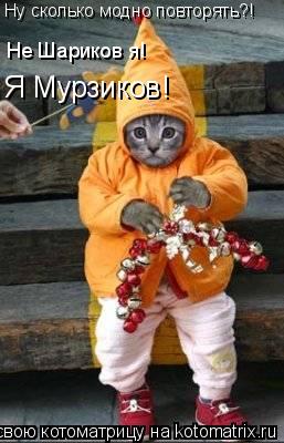 Не Шариков я! Ну сколько модно повторять?! Я Мурзиков!... Котоматрица: Не Шариков я! Ну сколько модно повторять?! Я Мурзиков!