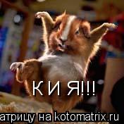 Котоматрица: К И Я!!!