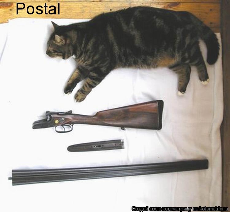 Postal... Котоматрица: Postal