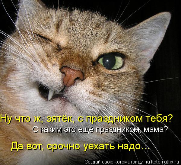 Ну что ж, зятёк, с праздником тебя? С каким это ещё праздником, мама? Да вот, срочно уехать надо...... Котоматрица: Ну что ж, зятёк, с праздником тебя? С каким это ещё праздником, мама? Да вот, срочно уехать надо...