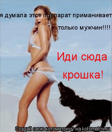 я думала этот препарат приманивает только мужчин!!!! только мужчин!!!! Иди сюда крошка!... Котоматрица: я думала этот препарат приманивает только мужчин!!!! только мужчин!!!! Иди сюда крошка!