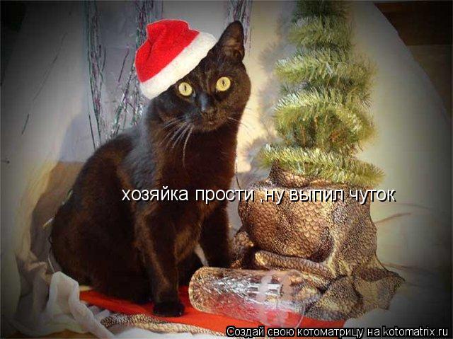 хозяйка прости ,ну выпил чуток... Котоматрица: хозяйка прости ,ну выпил чуток