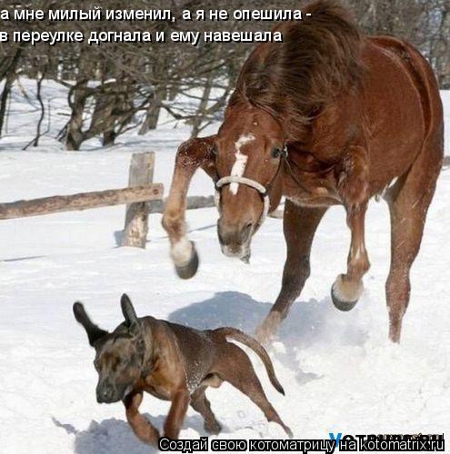 а мне милый изменил, а я не опешила - в переулке догнала и ему навешала... Котоматрица: а мне милый изменил, а я не опешила - в переулке догнала и ему навешала