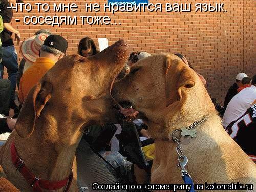 -что то мне не нравится ваш язык. - соседям тоже...... Котоматрица: -что то мне не нравится ваш язык. - соседям тоже...