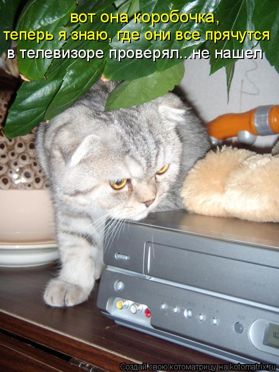 вот она коробочка, теперь я знаю, где они все прячутся в телевизоре проверял...не нашел... Котоматрица: вот она коробочка, теперь я знаю, где они все прячутся в телевизоре проверял...не нашел
