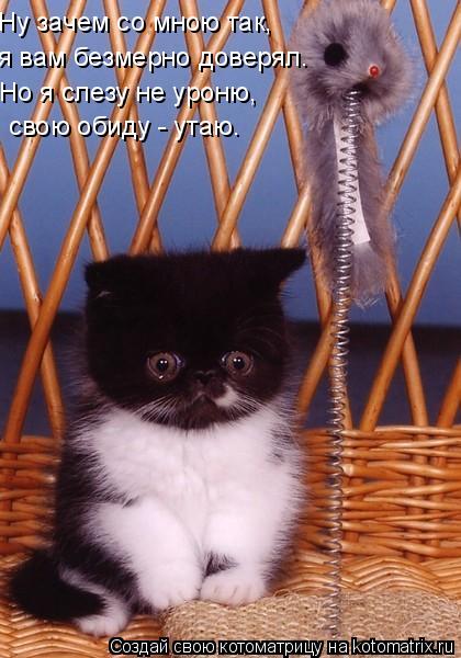 Ну зачем со мною так, я вам безмерно доверял. Но я слезу не уроню, свою обиду - утаю.... Котоматрица: Ну зачем со мною так, я вам безмерно доверял. Но я слезу не уроню, свою обиду - утаю.