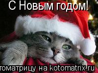 С Новым годом!... Котоматрица: С Новым годом!