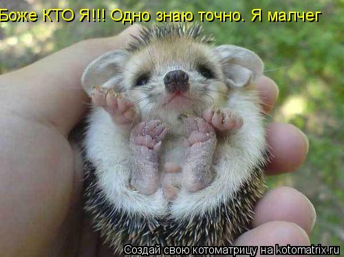 Боже КТО Я!!! Одно знаю точно. Я малчег... Котоматрица: Боже КТО Я!!! Одно знаю точно. Я малчег