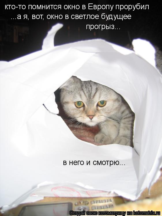 кто-то помнится окно в Европу прорубил ...а я, вот, окно в светлое будущее прогрыз... в него и смотр... Котоматрица: кто-то помнится окно в Европу прорубил ...а я, вот, окно в светлое будущее прогрыз... в него и смотрю...