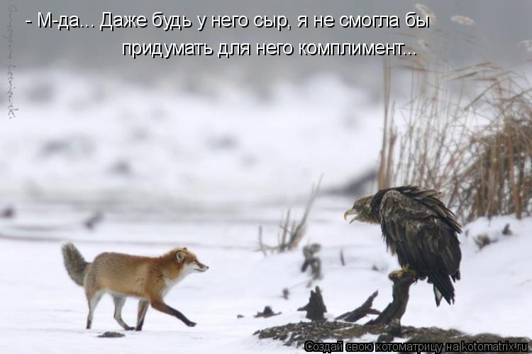 - М-да... Даже будь у него сыр, я не смогла бы придумать для него комплимент...... Котоматрица: - М-да... Даже будь у него сыр, я не смогла бы придумать для него комплимент...
