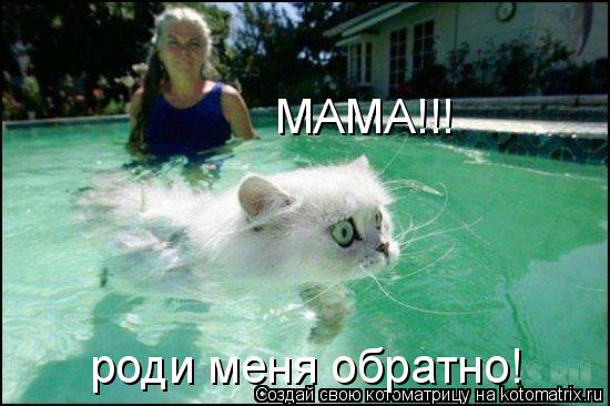 Котоматрица: МАМА!!! роди меня обратно!