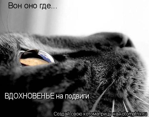 Вон оно где... ВДОХНОВЕНЬЕ на подвиги... Котоматрица: Вон оно где... ВДОХНОВЕНЬЕ на подвиги